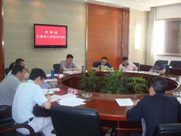 屏錦鎮(zhèn)“借力”文建明工作法助推基層組織建設