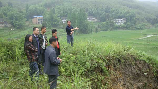 屏錦鎮(zhèn)及時處置一處地質塌陷危害