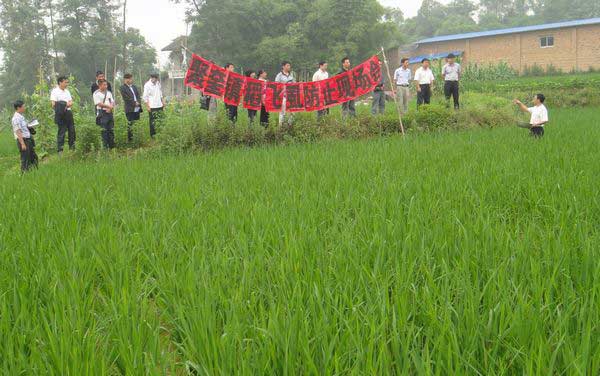 聚奎鎮(zhèn)及時(shí)防治稻飛虱 確保水稻增產(chǎn)增收