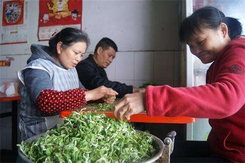 虎城鎮(zhèn)：家家戶戶吃清明菜粑粑過清明