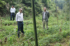 主要領(lǐng)導(dǎo)帶隊(duì)開展禁種鏟毒踏查