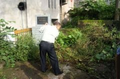 虎城鎮(zhèn)：緬懷革命先烈迎接首個烈士紀(jì)念日