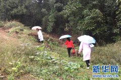 梁平區(qū)合興中心衛(wèi)生院：心系新生命 關愛重點人群