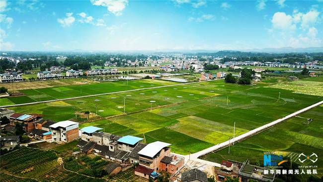 五月，重慶梁平的多彩丘陵間、平川田園里，處處是生機(jī)勃勃的景象，一幅幅美麗鄉(xiāng)村圖畫鋪展大地。圖為無人機(jī)航拍梁平區(qū)屏錦鎮(zhèn)萬年村，平川田園靜美如畫。新華網(wǎng)發(fā)（高小華 攝）