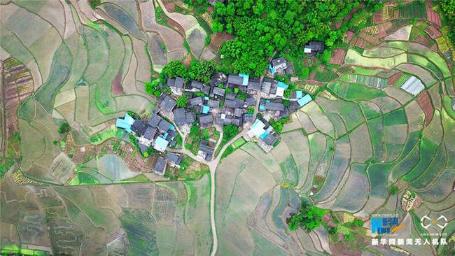 圖為無人機(jī)航拍梁平區(qū)雙桂田園，綠樹成蔭，翠田如玉。