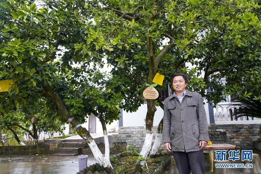 （圖文互動(dòng)）（5）重慶梁平：“五湖四?！崩L出“田園之城”