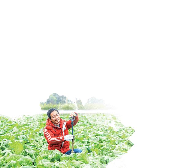 云龍鎮(zhèn)三清村蔬菜種植基地，菜農(nóng)在安裝噴淋澆灌設(shè)備。 通訊員 熊偉 攝